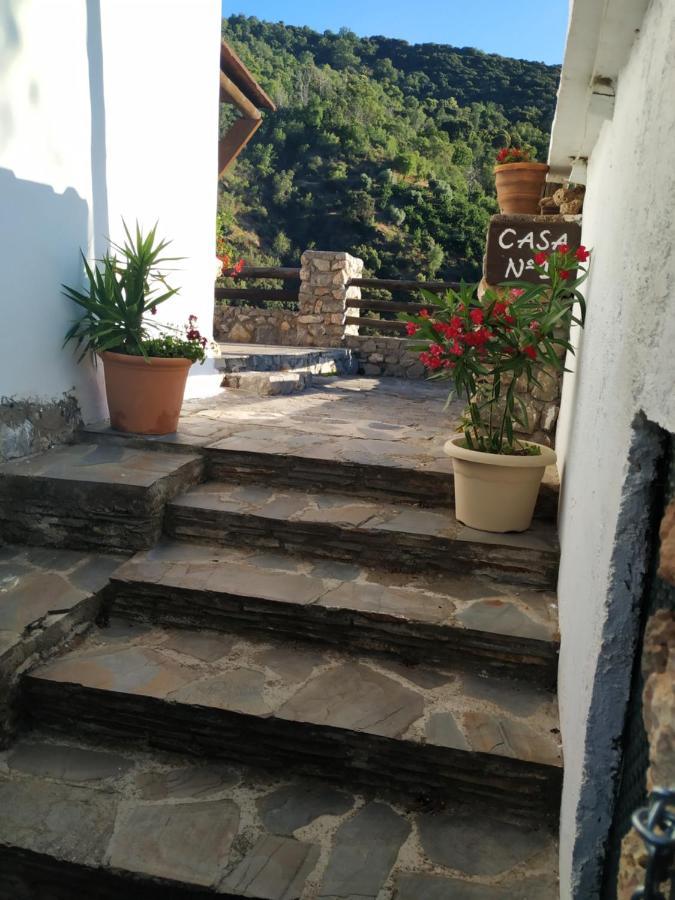 Cortijo La Solana *