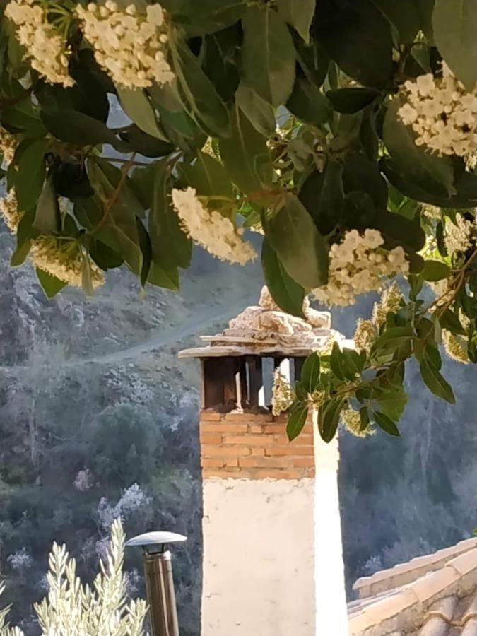 Cortijo La Solana Country house *