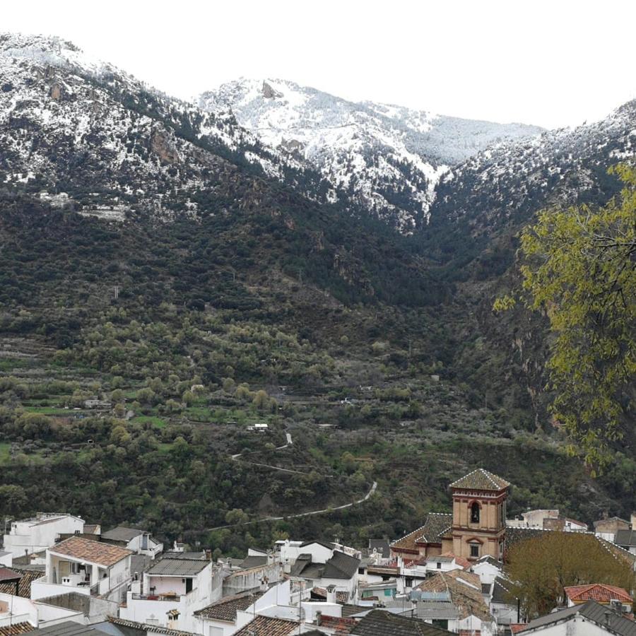 Cortijo La Solana Country house *