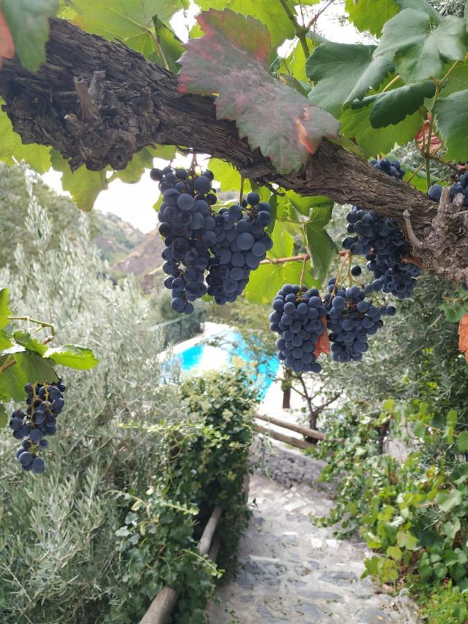 Country house Cortijo La Solana Guejar Sierra